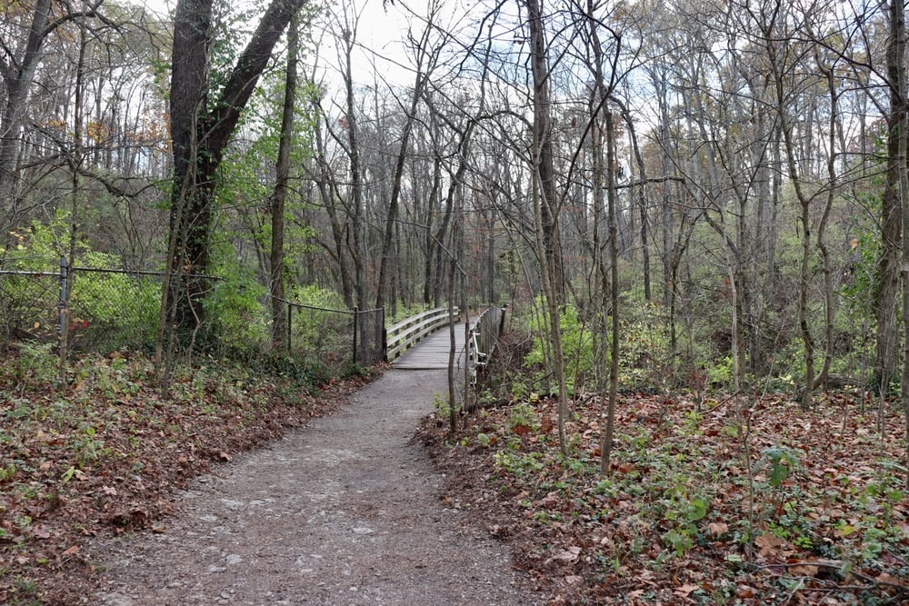Udienza il 4 dicembre per la famiglia nel bosco: possibile revisione ritorno a casa prima di Natale