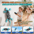 Montessori Gecko™ – Kletternde Eidechse