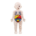 Montessori Body Parts™- Cuerpo Humano