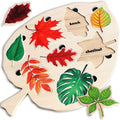 Wood Leaves™- Opettavaiset Lehdet