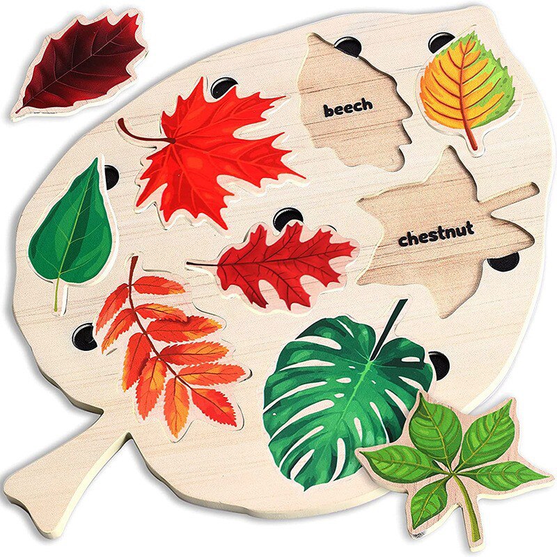 Wood Leaves™- Opettavaiset Lehdet