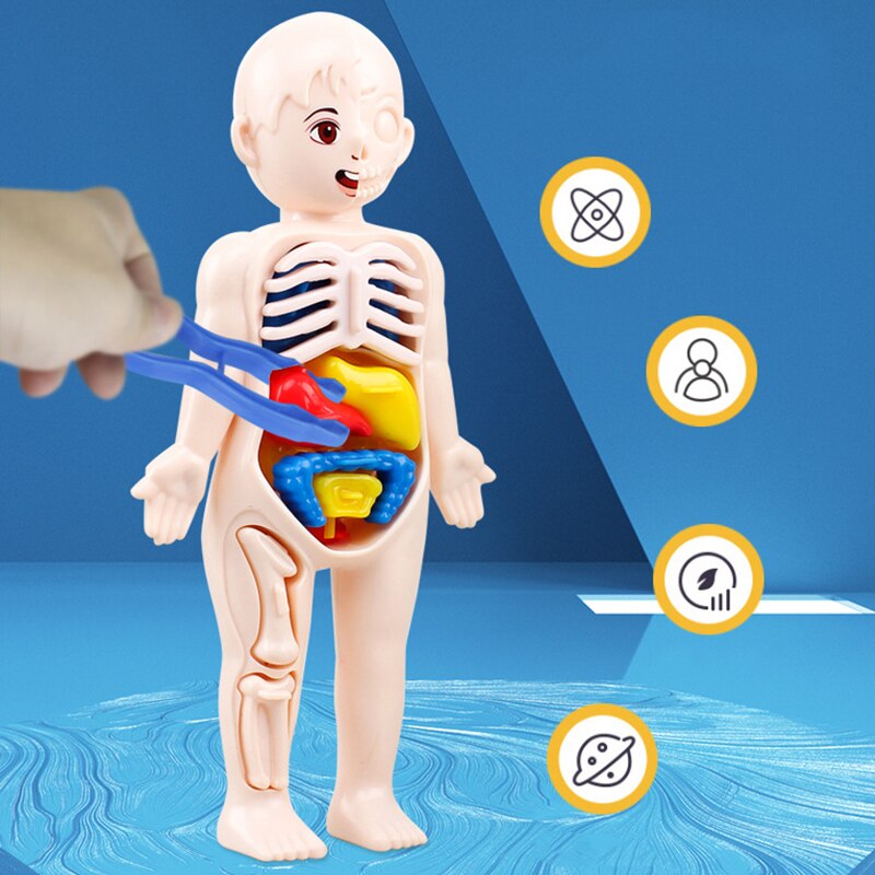 Montessori Body Parts™- Ihmiskeho