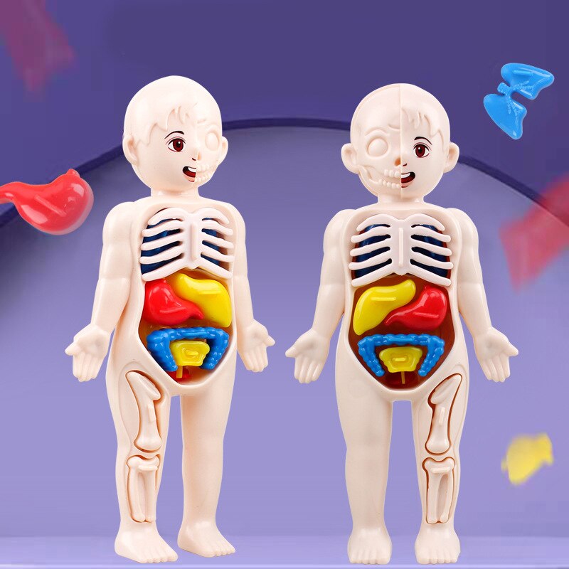 Montessori Body Parts™- Ihmiskeho