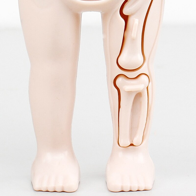 Montessori Body Parts™- Ihmiskeho